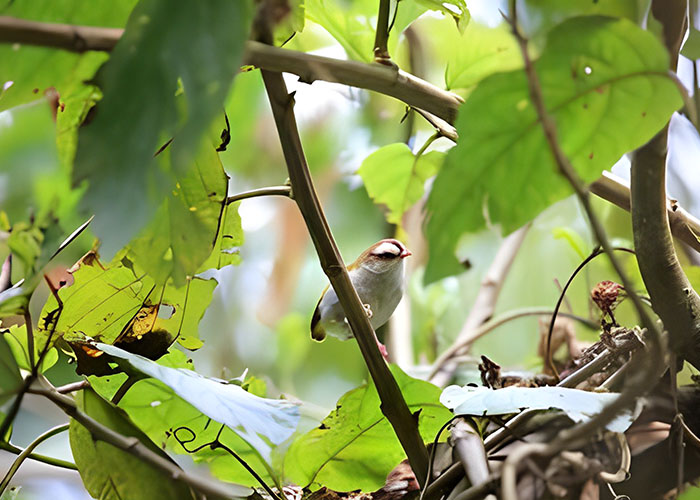 Wildlife and Wetlands Expedition